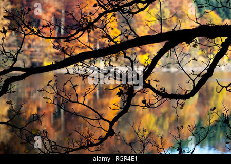 Serbatoio Listertalsperre, Attendorn, Renania settentrionale-Vestfalia, Germania, Europa Foto Stock