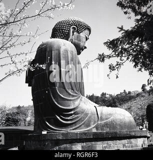 Degli anni Cinquanta, immagine mostra dal lato, la grande statua in bronzo del 'grande o gigante Buddha' (Daibutsu) di Kamakura, Giappone, che sorge sui terreni del tempio Kotokuin. Foto Stock