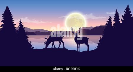 Due renne dal lago di notte con la luna piena viola la natura paesaggio illustrazione vettoriale EPS10 Illustrazione Vettoriale