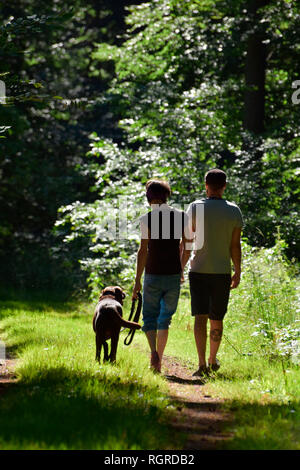 Giovane a piedi con Labrador Retriever Foto Stock