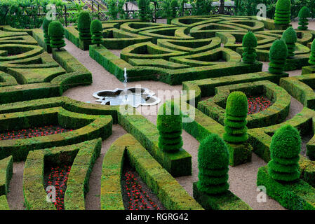 Garten von Schloss Villandry, Indre-et-Loire, Loiretal, Loire-Tal, Centro Frankreich, Chateau de Villandry Foto Stock