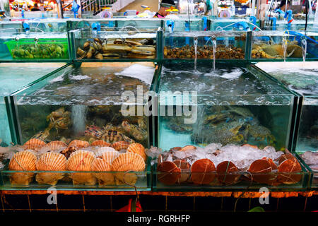 Firisches lebendes, frutti di mare, Meeresfruechte, Banzaan mercato fresco, Patong Beach, Phuket, Tailandia Foto Stock