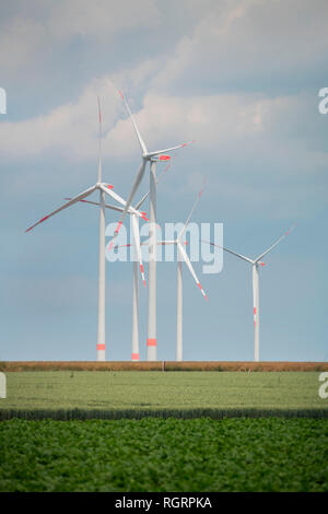 Ruote di vento, Grevenbroich, Renania settentrionale-Vestfalia, Germania, Europa Foto Stock
