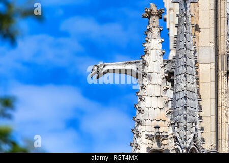 Bella doccioni della cattedrale di Notre Dame de Paris - facciata Foto Stock