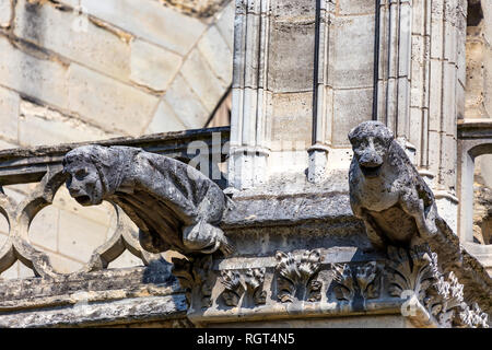 Bella doccioni della cattedrale di Notre Dame de Paris - facciata Foto Stock