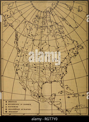 . Bollettino - indagine biologica. Zoologia, economico. 26 NORTH AMERICAN aironi e i loro alleati e il Paraguay a Cordoba, Argentina (Dabbene); e a Buenos Aires, Argentina (Hudson). Inoltre varia a ovest di Central Perù (Taczanowski). Le uova sono state adottate il 10 ottobre 1904, il Chaco argentino (Hartert e Venturi).. Fig. 9.-Tarabuso (Botaurus lentiginosus). Tarabuso. Botaurus lentiginosus (Montagu). Gamma.-La quasi totalità del Nord America, da Panama e delle Grandi Antille a nord di British Columbia, Mackenzie e nuovo- foundland. Gamma di allevamento.-Il tarabuso è uno dei più di razza del nord- ho Foto Stock