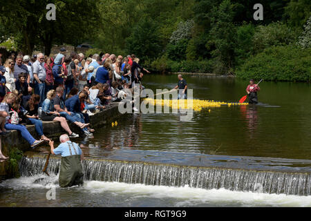 Una folla di gente che guardare la gara d'anatra in Bakewell Derbyshire Inghilterra Foto Stock