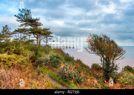 South Devon sentiero costiero vicino a Budleigh Salterton, Devon, Regno Unito. Guardando ad est dal di sotto a ovest verso il basso verso il radiofaro Budleigh Bay e Otter testa. Foto Stock