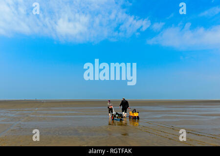 Pedoni tirando un camion attraverso le velme, Schleswig-Holstein il Wadden Sea National Park, Westerhever, Schleswig-Holstein, Germania Foto Stock