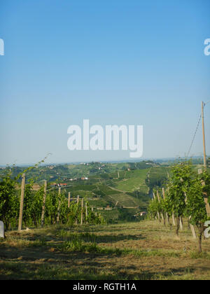 Vista sulle Langhe Occidentali vicino a Neive, Piemonte - Italia Foto Stock