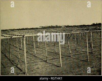 . Bollettino. Insetti; pesti di insetto; Entomologia; insetti; pesti di insetto; Entomologia. Bui. 62, l' Ufficio di presidenza di entomologia, brevetto statunitense n. 5. Dipartimento di Agricoltura, piastra III.. Fig. 1.-giapponese Apple Orchard, che mostra il metodo di traliccio di formazione. (Autore della illustrazione.). Si prega di notare che queste immagini vengono estratte dalla pagina sottoposta a scansione di immagini che possono essere state migliorate digitalmente per la leggibilità - Colorazione e aspetto di queste illustrazioni potrebbero non perfettamente assomigliano al lavoro originale. Stati Uniti. Ufficio di presidenza di Entomologia. Washington : G. P. O. Foto Stock