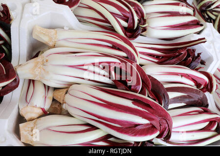 Confezione di radicchio rosso chiamato anche radicchio tardivo in lingua italiana per la vendita in negozio di fruttivendolo Foto Stock