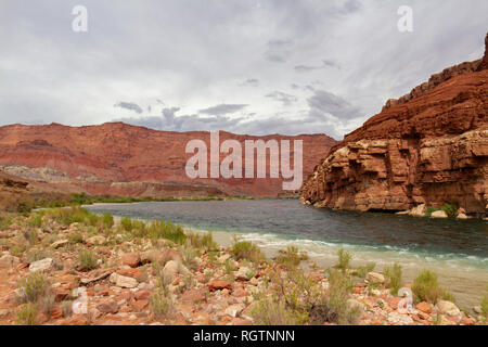 Il Paria Riffle vicino a Lee's Ferry, il Fiume Colorado, Glen Canyon Recreation Area, Arizona, Stati Uniti. Foto Stock