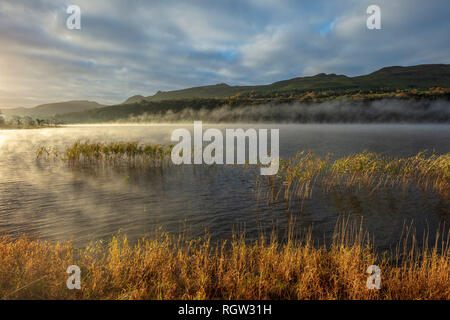 Nebbia di mattina su Glencar lago, nella contea di Sligo, Irlanda. Foto Stock