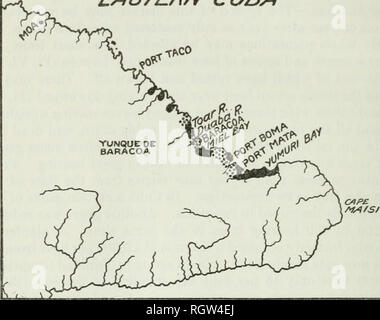 . Bollettino. 1901-13. Agricoltura; l'agricoltura. 12 STORIA AM) CAUSE DEL COCCO BUD-BOT. dell'isola (fig. 1). Questa striscia, che è di circa 80 chilometri di lunghezza, è per la maggior parte all'interno di ciò che è noto come il distretto di Baracoa. Il bud-rot è stato segnalato a La Gloria;1 si verifica da Avana a Artemisa, a Cardenas, Cienfuegos, Manzanilla pattini; sulla costa tra Santiago de Cuba e Capo Cruz;2 e da ('ape Maisi northwest per oltre Baracao. Tutti gli alberi sono stati uccisi all'estremo est- ern estremità di quest'ultima striscia di terra e soprattutto una questione di Baracoa e in altri luoghi isolati. Il Foto Stock