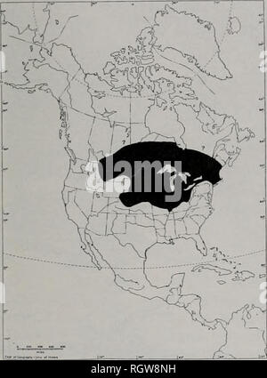 . Bollettino. Storia naturale; storia naturale. Agosto 1985 Astaci e gamberetti di Illinois 419. Fig. 152.-totale distribuzione di Orconectes virilis. Il limite nord della gamma sono onu- noto. per daikl&GT; occhi pigmentato. I parenti più prossimi di O. virilis sono O. causeyi, che può essere conspecific con O. virilis (Hobbs 1974b), e O. nais. O. fiais è ery simile a O. virilis morfologicamente ma è distinto serolog- ically (Pryor &AMP; Leone 1952). Una zona di transizione fra O. inrilis e O. nais può essere presente nella parte sud-ovest Iowa (Phillips 1980). Distribuzione e Habitat.-O. Foto Stock