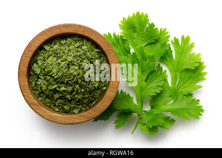 Essiccato di coriandolo tritato foglie in legno scuro ciotola accanto a foglie di coriandolo fresco isolato su bianco dal di sopra. Foto Stock