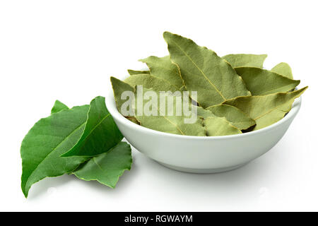 Essiccata foglie di alloro in ceramica bianca ciotola accanto a fresche foglie di alloro isolato su bianco. Foto Stock