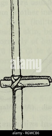 . Bollettino. Etnologia. 740 sud indiani americani [B. A. E. Boll. 143 una palla di gioco, pillma, in cui la sfera di rush è stato gettato da sotto la coscia e volleyed a mano. I due più importanti giochi d'azzardo sono stati il fagiolo gioco (llique, liiqn, luq) ha suonato con 8 a 12 fagioli, ogni dipinto di nero su un lato, i fagioli stessi essendo "parlato" quando viene gettata; e kechu, giocato con cinque di fronte-dadi triangolare di legno o osso. Entrambi questi ultimi due giochi sono stati nettamente giochi d'azzardo. Si è verificato un gioco d'azzardo, troppo, in connessione con pillma, e tra i moderni Araucanians, che ha preso su SP Foto Stock