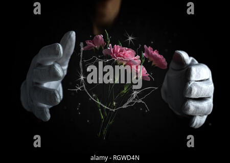 Mani di donna irriconoscibile fare magia con un bouquet di garofani Foto Stock