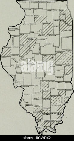 . Bollettino. Storia naturale; storia naturale. 134 Illinois Natikal Histoky Sikvky Hillktin utilizza: Il heavv e piuttosto grossolano-jjrained legno del salice- Oak è forte, ma non difficile, ed è usato in Nord Carolina per ferrovia- road cravatte, bridge ])lanks. e generale Costruzione ruvida. In IHinois, la struttura ad albero è talmente rara che non ha alcun valore commerciale. QUERCUS IMBRICARIA Mriiaux Rovere Shingle Laurel Oak il Rovere Shingle è un albero di medie dimensioni, con un lungo e chiaro del bolo da cui la slanciata, rami orizzontali crescere fino a formare una stretta, round-tojjped testa. La sottile, scuro-verde, foglie lucide, 4 A (io ho Foto Stock