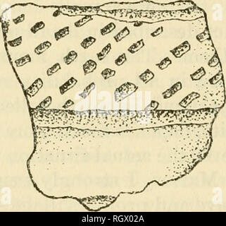 . Bollettino. Etnologia. 502 Bureau of American etnologia [Boll. 174 contea di riso. Al meglio delle mie conoscenze, vasellame e altri ma- terials indicando l'ex-esistenza di fiume piccolo villaggio di messa a fuoco o luoghi di sepoltura non sono stati rilevati o segnalati a est della località di Marion, sebbene l occasionali di pietra a forma di tubi e altri elementi ap- pera di tanto in tanto sui siti più in basso il pioppi neri americani il drenaggio. Mentre la maggior parte dei materiali che ho visto da Marion località indicano quindi una occupazione protostorica strettamente correlata a quella rappresentata dal piccolo fiume Focus siti nella contea di riso, Foto Stock