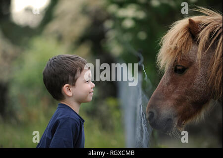 Ragazzo con piccoli pony, Tasmania, Australia Foto Stock