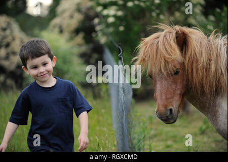 Ragazzo con piccoli pony, Tasmania, Australia Foto Stock