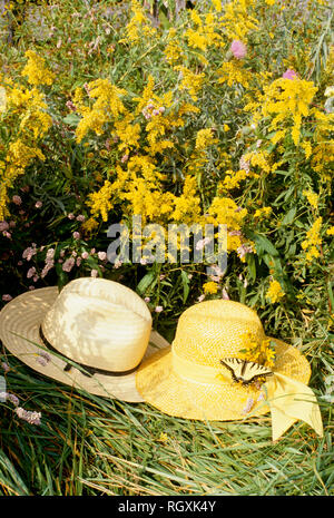 Romanticismo-- due cappelli, di lui e di lei, giacente in erba in un campo di fiori selvatici, con una coda di rondine butterfly appollaiato sulla banda Foto Stock