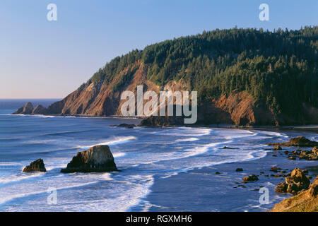 Stati Uniti d'America, Oregon, Ecola State Park, luce della sera definisce vista nord verso il punto di calva (inferiore destro) e Indiano distante punto. Foto Stock