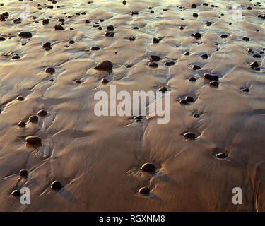 Stati Uniti d'America, Oregon, luce della sera definisce spiaggia bagnata con rocce sparse, vicino Oceanside. Foto Stock