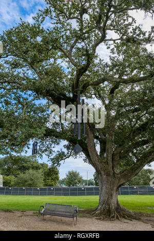 Il canto Quercia, o chime Tree, artista Jim Hart - New Orleans City Park, New Orleans, Louisiana, Stati Uniti d'America Foto Stock