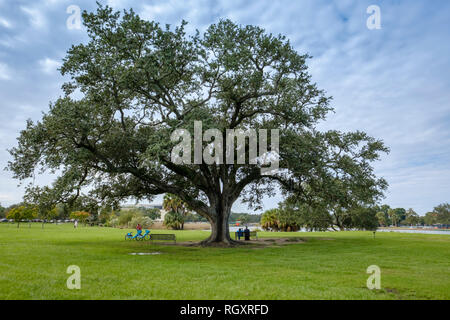 Il canto Quercia, o chime Tree, artista Jim Hart - New Orleans City Park, New Orleans, Louisiana, Stati Uniti d'America Foto Stock