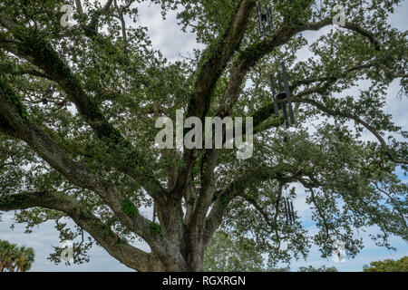 Il canto Quercia, o chime Tree, artista Jim Hart - New Orleans City Park, New Orleans, Louisiana, Stati Uniti d'America Foto Stock