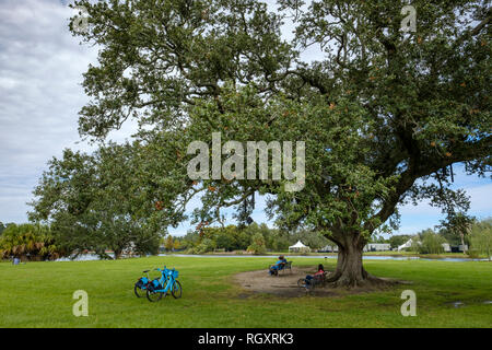 Il canto Quercia, o chime Tree, artista Jim Hart - New Orleans City Park, New Orleans, Louisiana, Stati Uniti d'America Foto Stock