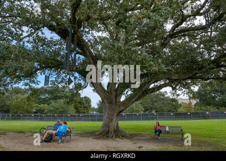 The Singing Oak Tree, o Chime Tree, dell'artista Jim Hart, New Orleans City Park, parco cittadino di New Orleans, Louisiana, Stati Uniti Foto Stock