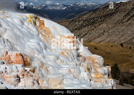 WY03051-00...WYOMING - Cupido la molla sulla terrazza superiore di Mammoth Hot Springs nel Parco Nazionale di Yellowstone. Foto Stock