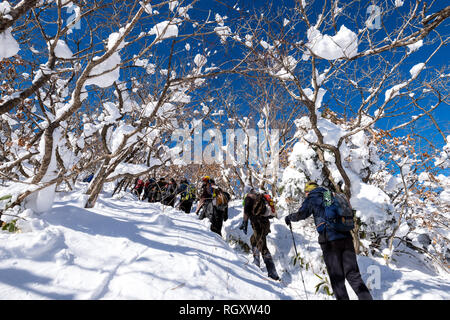 Persone escursionismo sul Monte Deogyusan in inverno Foto Stock