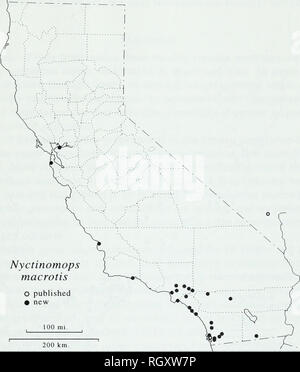 . Bollettino. La scienza. Estensioni di gamma di pipistrelli IN CALIFORNIA 61. Fig. 7. Distribuzione nota della grande free-tailed bat, Nyctinomops macrotis, in California e Nevada adiacenti. per la rabbia in Califomian contee costiere a nord di prossimità di San Francisco, il rendering quasi priva di significato la mancanza di esemplari di questa rara bat da quelle contee. Western mastiff bat Eumops perotis californicus Merriam (1890) questa sottospecie insettivori è stato segnalato dalla California al Texas sud- ward almeno del Messico centrale, mentre altre sottospecie sono registrati da nord- em Sud America southwa Foto Stock