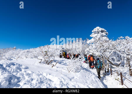 Persone escursionismo sul Monte Deogyusan in inverno Foto Stock