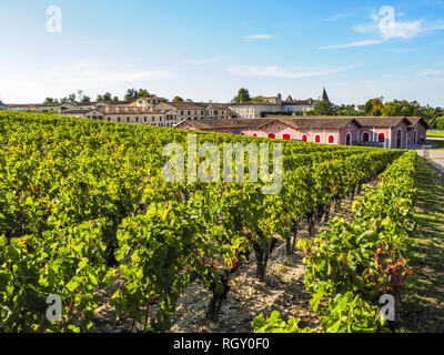 Chateau Lafite Rothschild Foto Stock