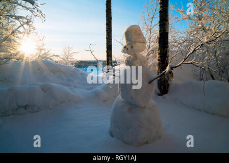 Pupazzo di neve in una radura l'inverno gazebo .paesaggio invernale . Russia, dalla regione di Leningrado. Foto Stock