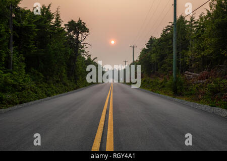 Scenic Forest road durante una vivace giornata d'estate. Prese a Florencia Bay, vicino a Ucluelet e Tofino, Isola di Vancouver, BC, Canada. Foto Stock