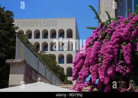 Estate lilla, butterfly-bush, Buddleja davidii, Schmetterlingsflieder, am Palazzo della Civilta Italiana, Colosseo Quadrato, auch Palazzo della Civilta Foto Stock