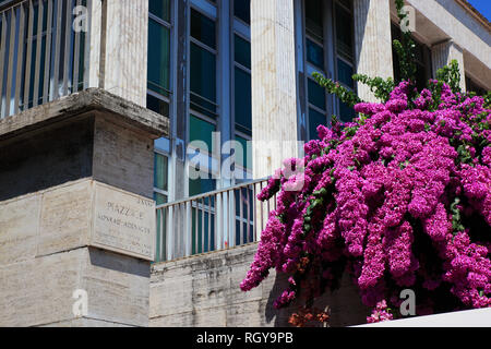 Estate lilla, butterfly-bush, Buddleja davidii, Sommerflieder, an der Piazzale Konrad Adenauer, Esposizione Universale di Roma, Weltausstellung Rom, e Foto Stock