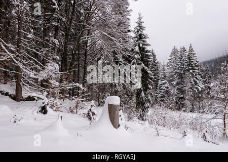 La Foresta Nera meridionale (tedesco: Südschwarzwald) si riferisce alla parte più alta della Foresta Nera che è stata profondamente trasformata da ice age glaciazione Foto Stock