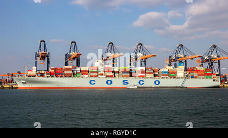 ROTTERDAM - Mar 16, 2016: COSCO Container nave venga caricato dal gantry cranes in ECT terminale marittimo nel porto di Rotterdam Foto Stock