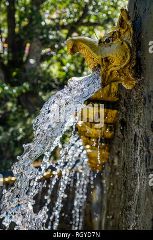 108 pozzetti, decorata con una golden bocca di mucca, la spesa di ghiaccio freddo acqua santa in il tempio di Muktinath, uno dei Vaishnava Divya Desam Foto Stock