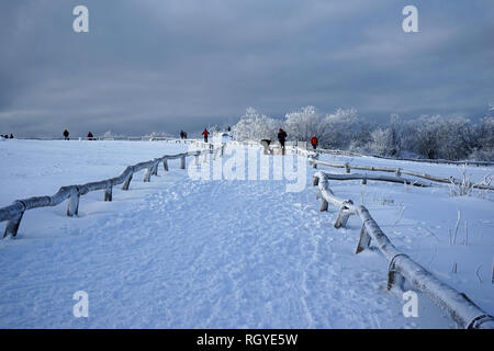 Winterlandschaft, Großer Feldberg, Hochtaunus, Taunus, Assia, Deutschland Foto Stock