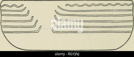 . Bollettino. Etnologia. 40 Bureau of American etnologia [Bdll. 139. Si prega di notare che queste immagini vengono estratte dalla pagina sottoposta a scansione di immagini che possono essere state migliorate digitalmente per la leggibilità - Colorazione e aspetto di queste illustrazioni potrebbero non perfettamente assomigliano al lavoro originale. Smithsonian Institution. Ufficio di presidenza di Etnologia americana. Washington : G. P. O. Foto Stock